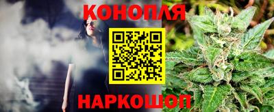 прущие грибы Малгобек