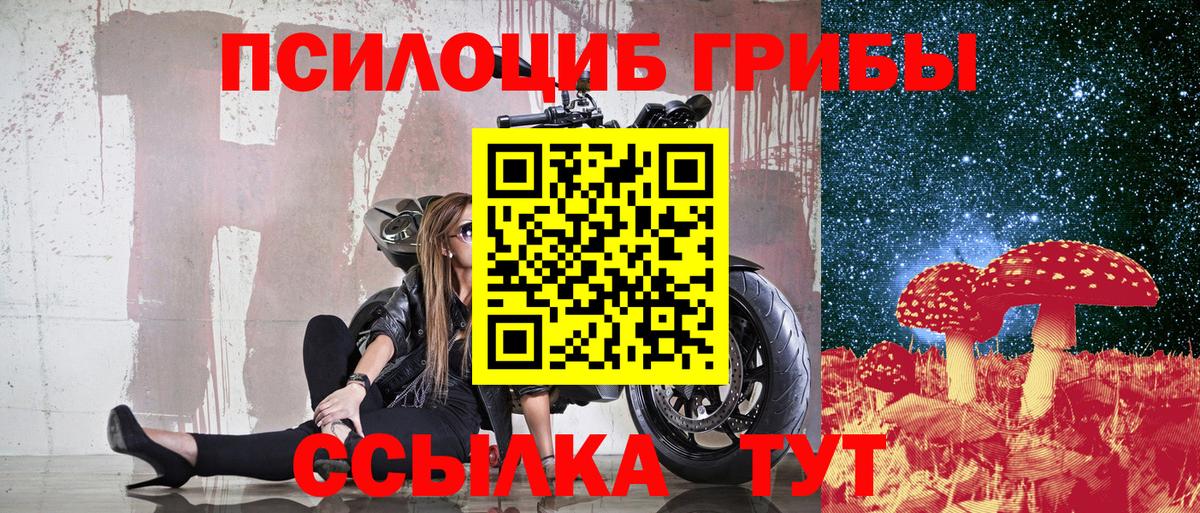 Будённовск  Галлюциногенные грибы мицелий  как найти закладки  Псилоцибиновые грибы мухоморы  Вход с VPN 